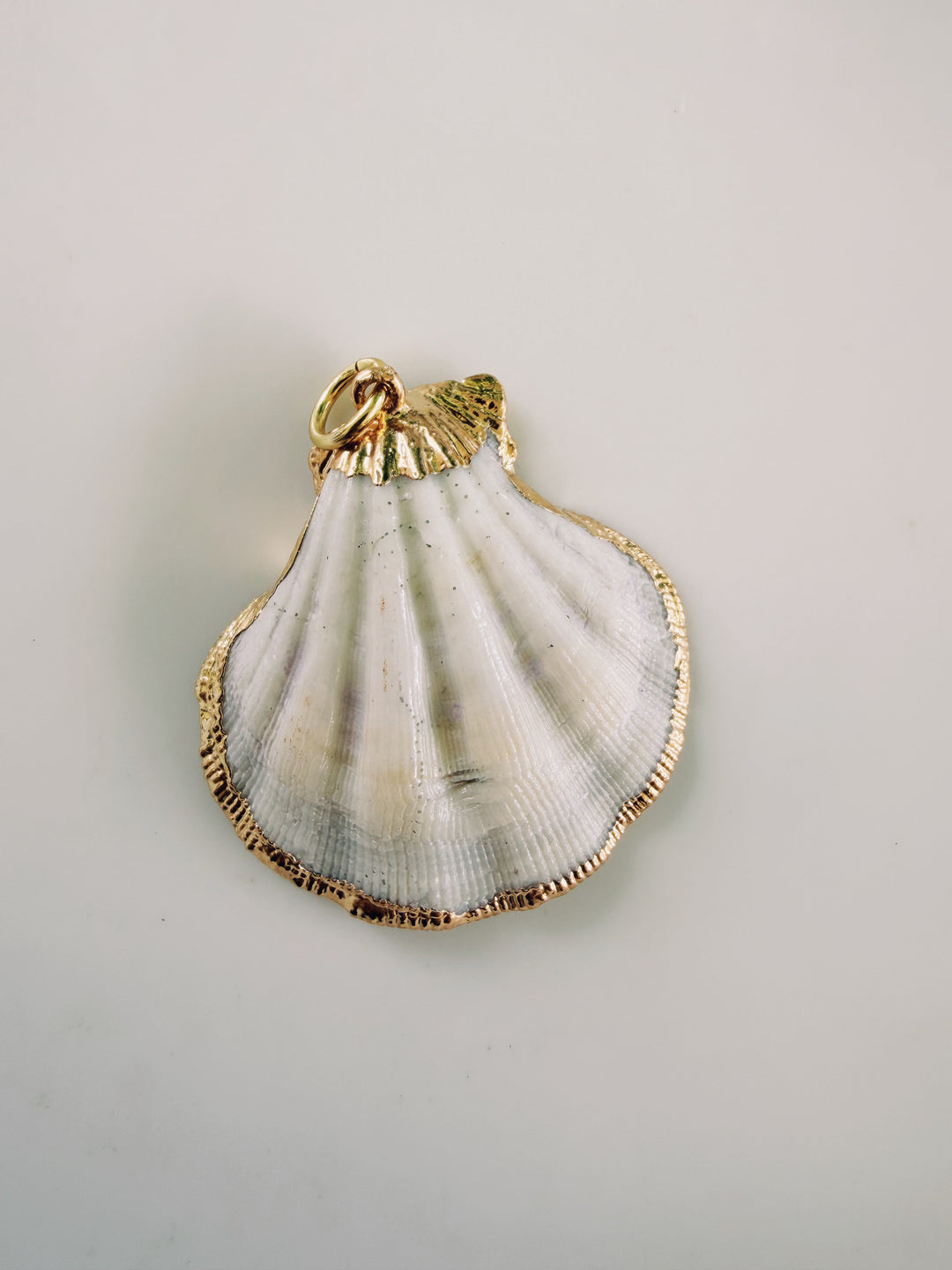 Gold Edged Shell Pendant, Sunkissed