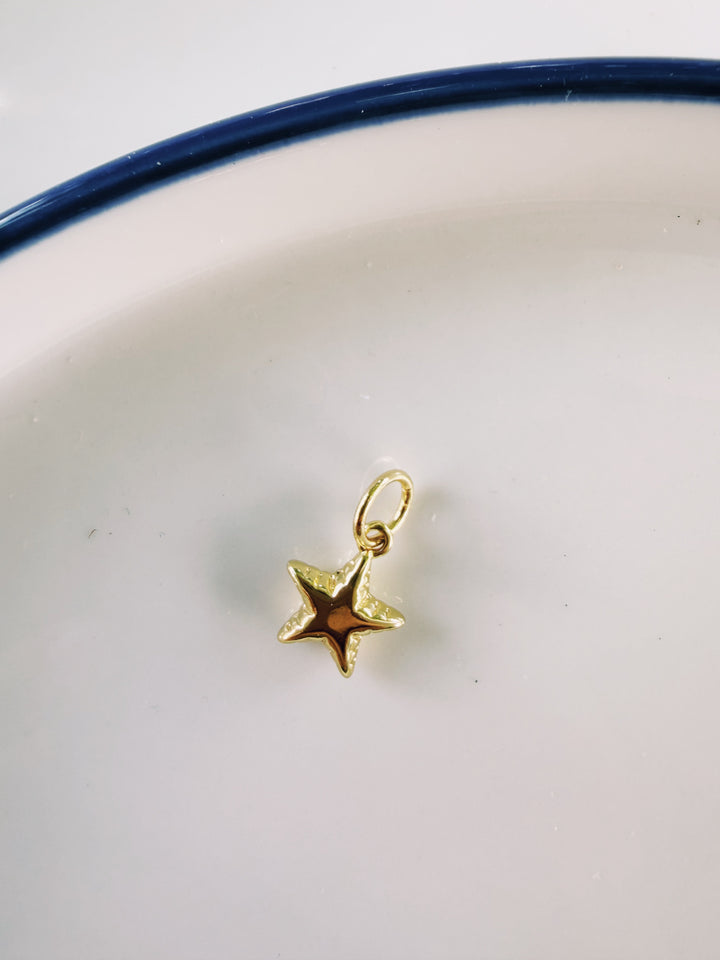 Patriotic Charms, America 250