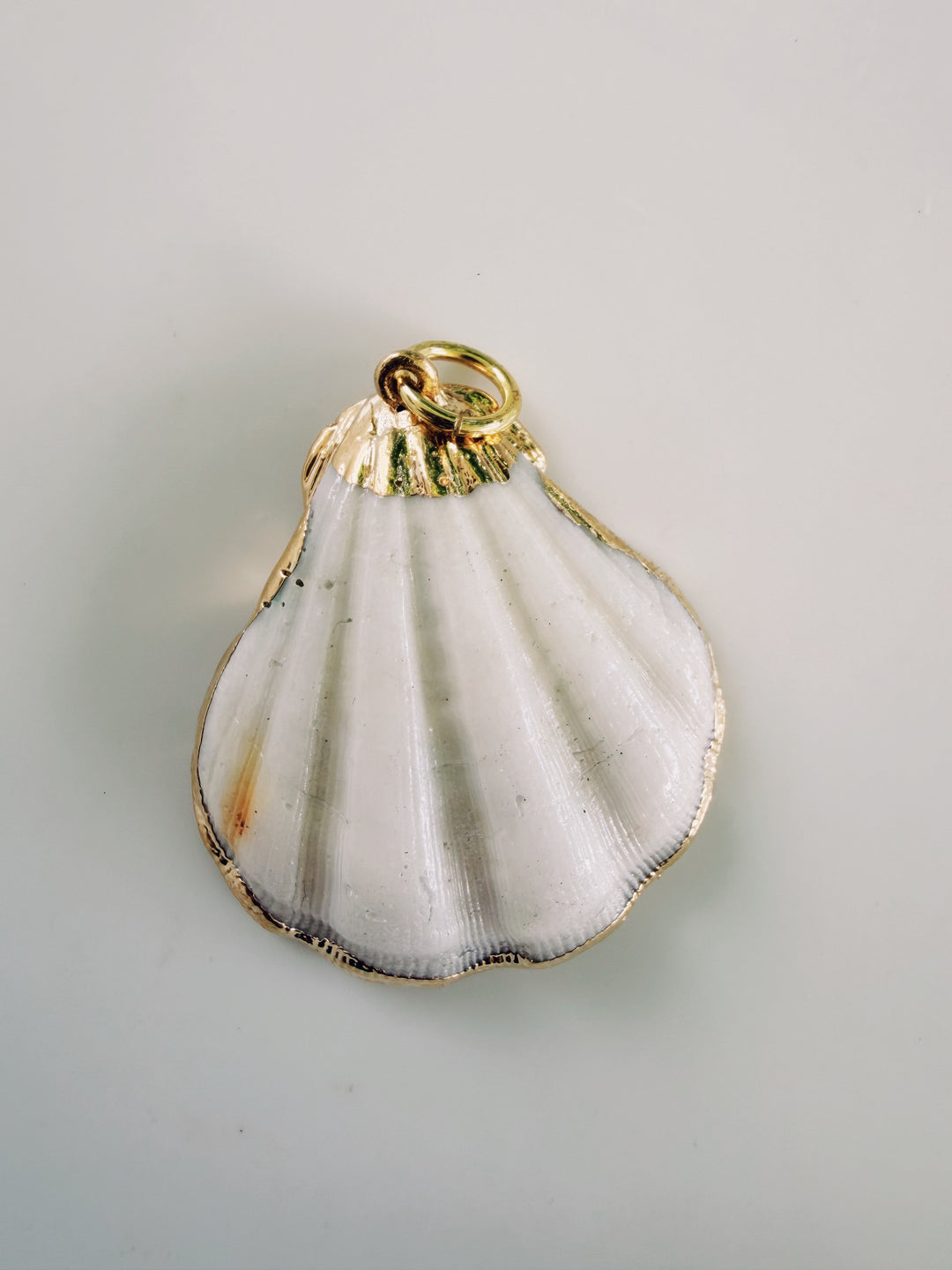 Gold Edged Shell Pendant, Sunkissed