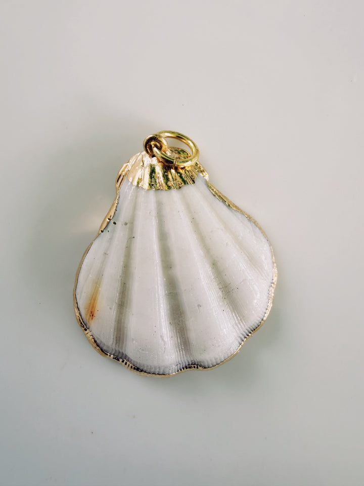 Gold Edged Shell Pendant, Sunkissed